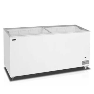 GLASSFRYS IC550SC 555 L