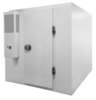 KYLRUM 6310L CR2020F