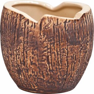 COCONUT 565 ML